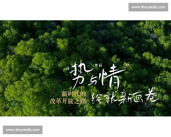 以刷新为核心驱动引领时代变革与体验全面升级之路探索未来发展新格局